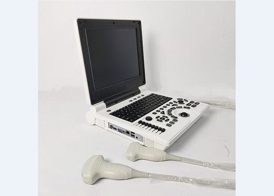Máy tính xách tay Máy quét bàng quang cầm tay Hệ thống siêu âm màu với 2 đầu nối đầu dò