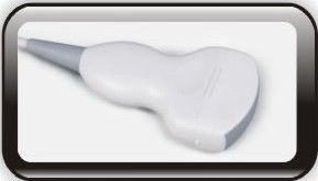 Máy quét siêu âm chẩn đoán con người 15 inch với một kết nối đầu dò và hai cổng USB