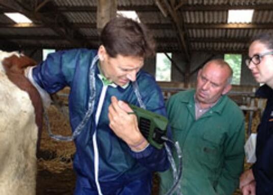 Máy quét siêu âm thú y mini